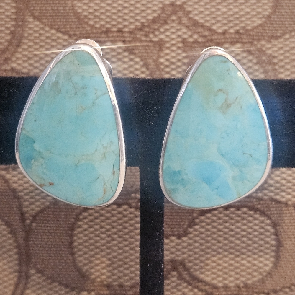 Southwestern Designer Peyote Bird Turquoise 925 Sterling Silver Earrings - Picture 2 of 6